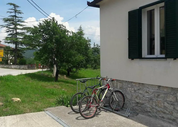 Zwei Zedern * Pićan