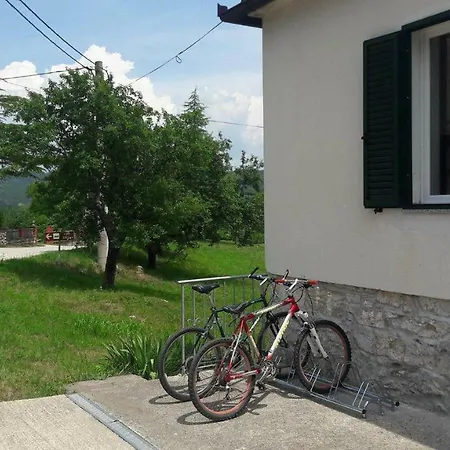 Zwei Zedern * Pićan